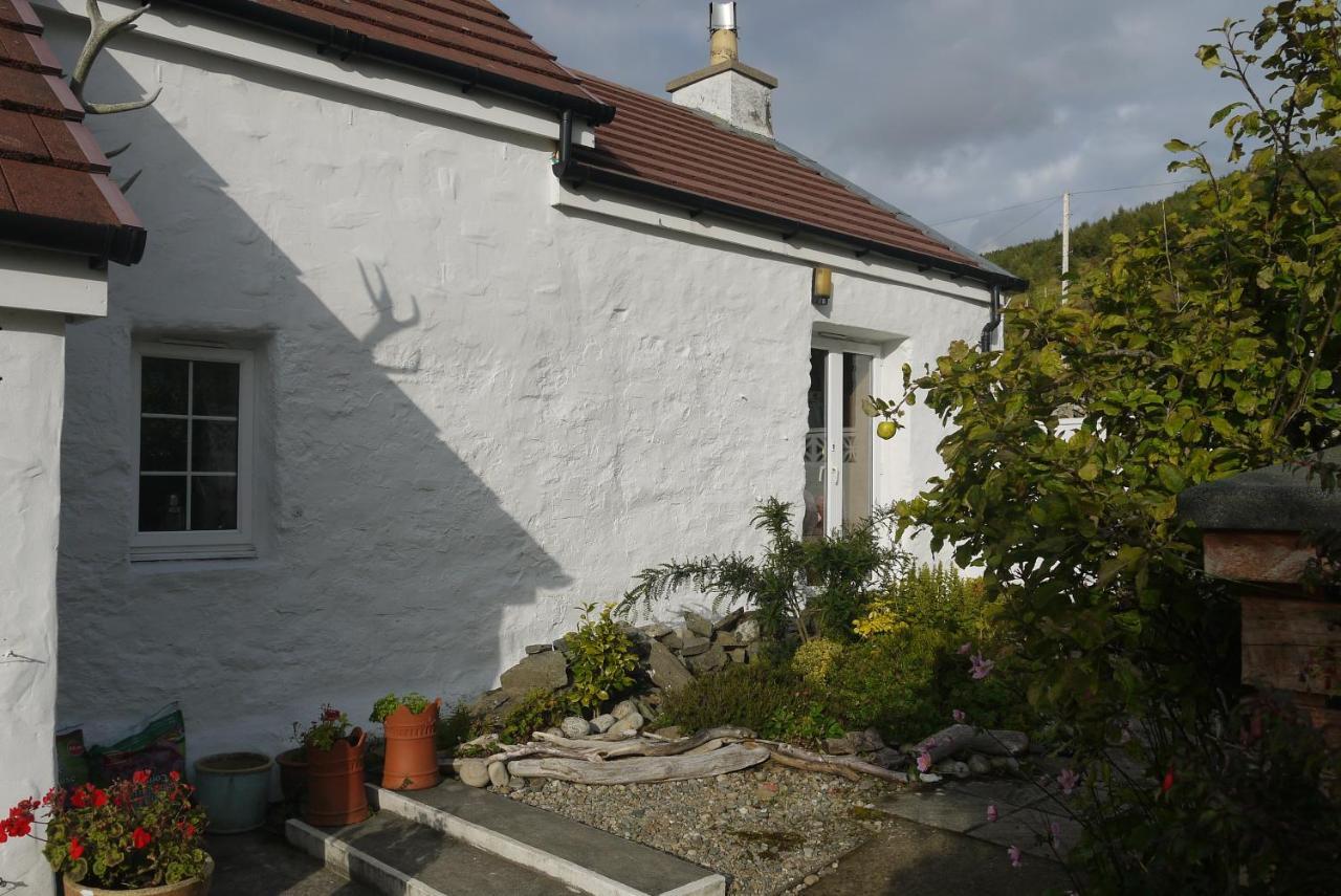 Willow Cottage, Isle Of Arran Thundergay 외부 사진